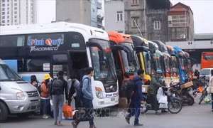 Hà Nội lên kế hoạch bố trí xe dự phòng dịp Tết 2024