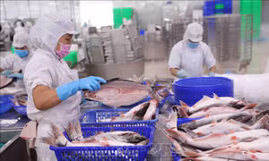 Xuất khẩu thủy sản của Việt Nam duy trì tốt thị phần tại Singapore