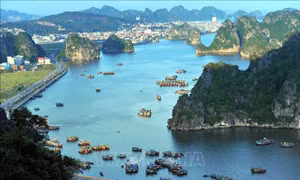 Đề nghị tỉnh Quảng Ninh khẩn trương kiểm tra Dự án Khu đô thị 10B