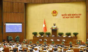 Thông qua Luật sửa đổi, bổ sung một số điều của Luật Chất lượng sản phẩm, hàng hóa