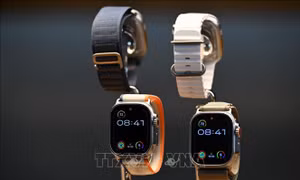 Apple Watch tích hợp AI phát hiện nguy cơ cao huyết áp