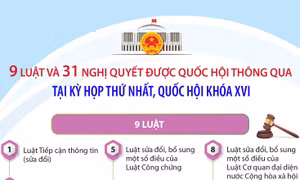 Thông tin về 9 luật và 31 nghị quyết được Quốc hội thông qua tại Kỳ họp thứ nhất, Quốc hội khóa XVI