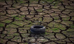 LHQ cảnh báo El Nino mạnh nhất trong nhiều thập kỷ