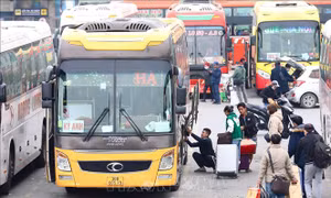Tăng cường phối hợp để chống thất thu thuế trong hoạt động vận tải
