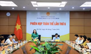 Xem xét trình tự đưa người từ đủ 12 đến dưới 18 tuổi đi cai nghiện bắt buộc