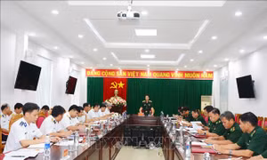 Quyết thực hiện các giải pháp gỡ 'thẻ vàng' đối với thủy sản Việt Nam