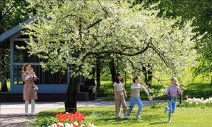 Moskva rực rỡ mùa hoa