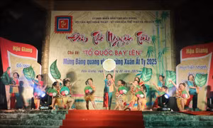 Đặc sắc Đêm thơ Nguyên Tiêu Hậu Giang
