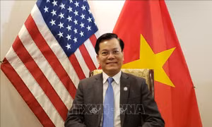Thúc đẩy quan hệ Đối tác Toàn diện Việt Nam-Mỹ