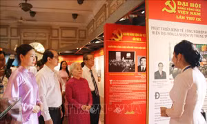 Mừng Xuân Bính Ngọ - Mừng Đảng quang vinh trên thành phố mang tên Bác