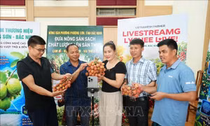 Khai thác tiềm năng, mở rộng không gian tăng trưởng kinh tế số