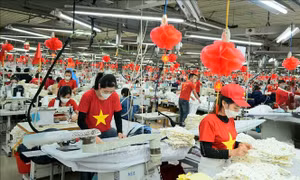 Tinh gọn đầu mối, tăng kết nối với công đoàn cơ sở