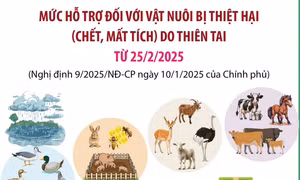 Mức hỗ trợ đối với vật nuôi bị thiệt hại (chết, mất tích) do thiên tai từ 25/2/2025