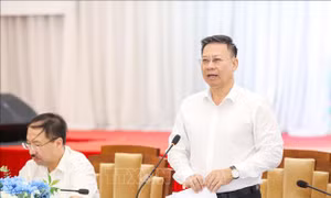 Giáo dục pháp luật gắn với yêu cầu kiến tạo phát triển và chuyển đổi số