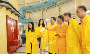 Phát triển nguồn nhân lực lĩnh vực năng lượng nguyên tử