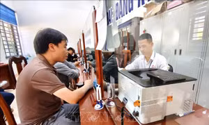 Lâm Đồng: Làm rõ trách nhiệm trong thực hiện Nghị định 178