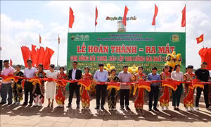 Chuẩn bị cho Lễ hội Sầu riêng tại 'thủ phủ' sầu riêng của Đắk Lắk