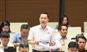 Phân quyền thực chất để đô thị chủ động phát triển