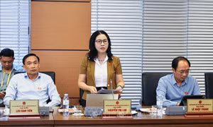 Cắt giảm thủ tục nhưng không cắt giảm trách nhiệm quản lý