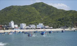 Giữ 'vốn biển' cho sinh kế bền vững