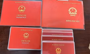 Những điểm mới dự kiến sửa đổi để quản lý văn bằng, chứng chỉ
