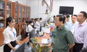 Phân công thành viên Chính phủ làm việc với các địa phương về phát triển kinh tế 
