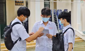 Tuyển sinh đại học 2024: Mở thêm nhiều ngành mới, mở rộng quy mô tổ chức