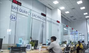 Đại dịch COVID-19 tác động lớn đến hiệu quả quản trị và hành chính công cấp tỉnh