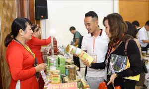 Thúc đẩy trao đổi thương mại qua các cửa khẩu Lào Cai và Vân Nam (Trung Quốc)