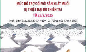 Mức hỗ trợ đối với sản xuất muối bị thiệt hại do thiên tai từ 25/2/2025
