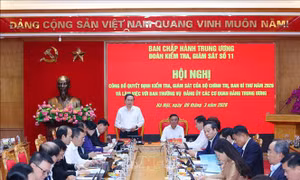 Công bố quyết định kiểm tra, giám sát đối với Ban Thường vụ Đảng ủy các cơ quan Đảng Trung ương