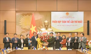 Phiên họp toàn thể lần thứ nhất của Ủy ban Văn hóa và Xã hội