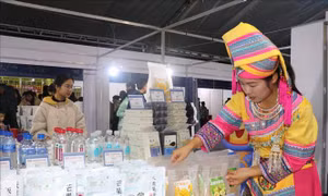 Khai mạc Hội chợ quốc tế Cao Bằng (Việt Nam) - Bách Sắc (Trung Quốc)