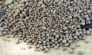 Dự án khai thác phốt phát đáy biển đầu tiên trên thế giới