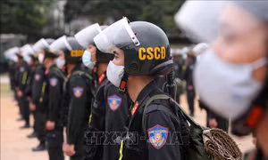 Bốn luật có hiệu lực từ ngày 1/1/2023