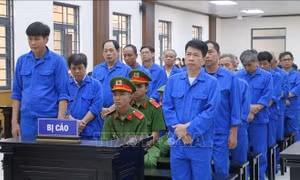 Hai cựu Phó Chủ tịch huyện Chợ Mới (An Giang) lĩnh án 22 năm tù vì 'tham ô tài sản'