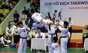 Giải vô địch Taekwondo quốc gia năm 2025: Thành phố Hồ Chí Minh giành giải Nhất toàn đoàn
