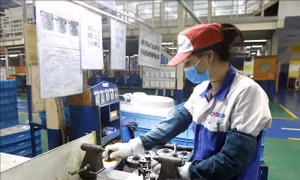 Hướng dẫn lập hồ sơ mời thầu dịch vụ tư vấn gói thầu thuộc phạm vi điều chỉnh các Hiệp định thương mại tự do