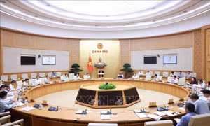Hoàn thiện các dự án luật bảo đảm chất lượng, hiệu quả