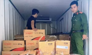 Phát hiện, bắt giữ các đối tượng vi phạm pháp luật