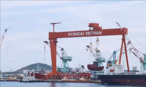 Công ty đóng tàu Hyundai Việt Nam đưa vào vận hành cẩu trục 700 tấn