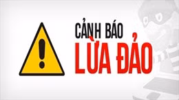 Tiếp tục xuất hiện trang web giả mạo thương hiệu EVN