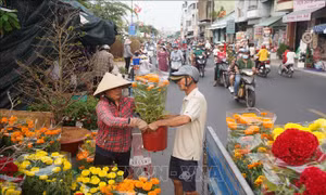 Rực rỡ sắc hoa Xuân đón Tết Ất Tỵ năm 2025