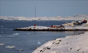 Greenland có thể giúp tăng nguồn cung hải sản cho thị trường Mỹ