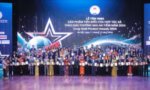 Trao giải Mai An Tiêm cho 100 sản phẩm tiêu biểu của hợp tác xã
