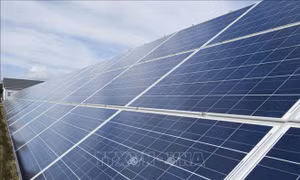 Algeria dự định triển khai 'siêu dự án' điện Mặt Trời với tổng công suất 4.000 MW