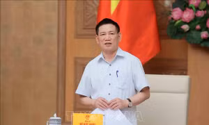 Phó Thủ tướng Hồ Đức Phớc: Cơ cấu lại hệ thống tổ chức tín dụng, chống sở hữu chéo