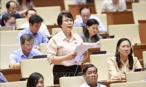 Phân công, giao nhiệm vụ rõ người, rõ việc, khắc phục tình trạng nợ đọng văn bản
