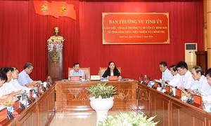 Phát huy lợi thế trong Khu Kinh tế Dung Quất, đưa Bình Sơn phát triển nhanh, bền vững