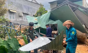 Quy chế hoạt động của Ban Chỉ đạo Phòng thủ dân sự quốc gia